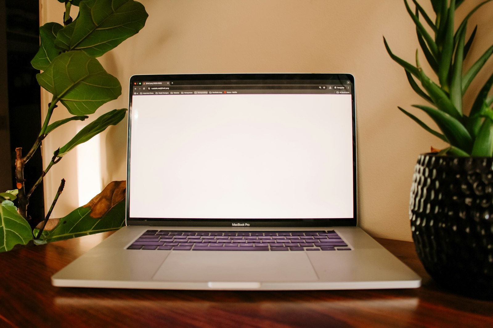 Ordinateur portable allumé entre deux plantes sur un bureau